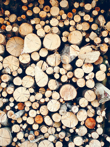 Burly Website Mood | THE CREATIVE BEAST Burly Website | THE CREATIVE BEAST