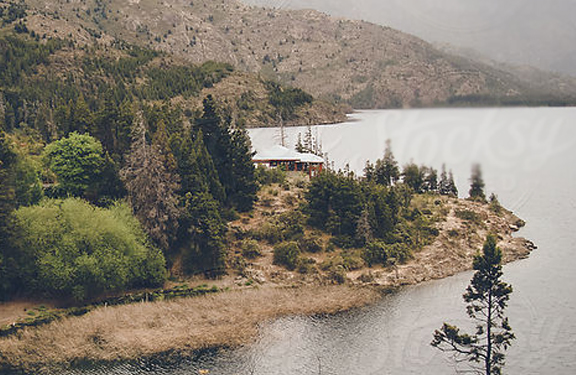 Burly Website Mood | THE CREATIVE BEAST Burly Website Design | THE CREATIVE BEAST