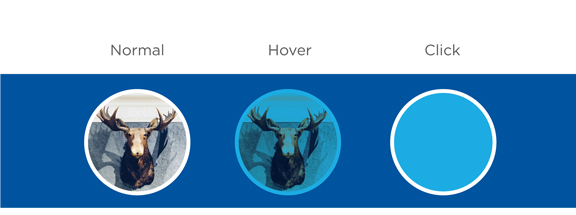 Facebook Redesign Hover State Images | THE CREATIVE BEAST Facebook Redesign | THE CREATIVE BEAST