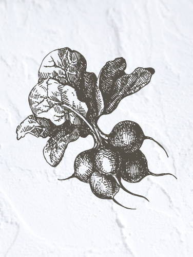 Olive Garden Olive Garden | THE CREATIVE BEAST