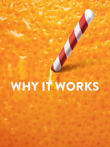 Tropicana Tropicana | THE CREATIVE BEAST