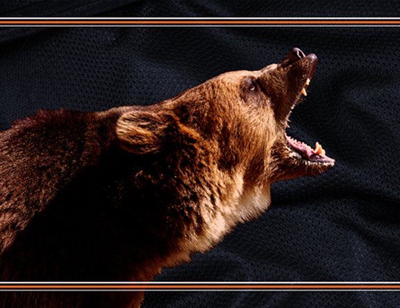 Chicago Bears Chicago Bears | THE CREATIVE BEAST