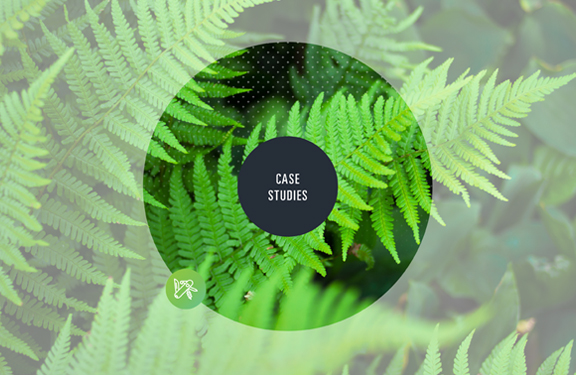 LG Mobile LG Mobile | THE CREATIVE BEAST